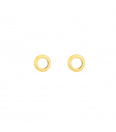 Pendientes  Pendientes Círculo