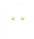 Pendientes  Pendientes Flor de Loto