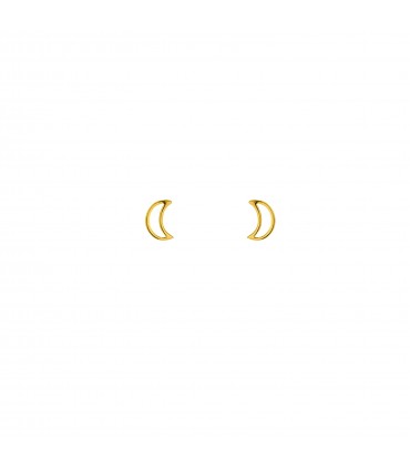 Pendientes  Pendientes Luna Hueca