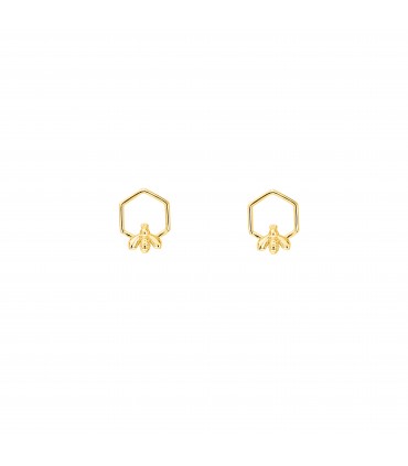 Pendientes  Pendientes Colmena