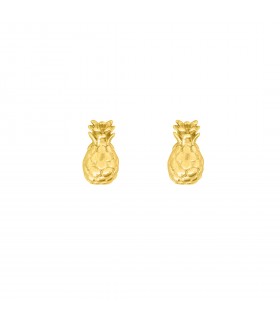 Pendientes  Pendientes Piña