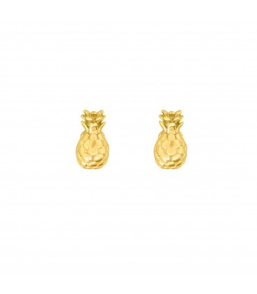 Pendientes  Pendientes Piña