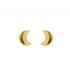 Pendientes  Pendientes Luna