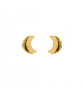 Pendientes  Pendientes Luna