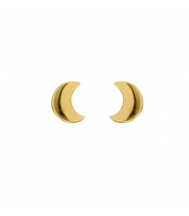 Pendientes  Pendientes Luna