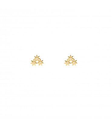 Pendientes  Pendientes Flores
