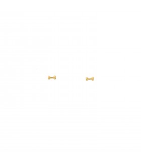 Pendientes  Pendientes Huesito