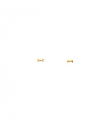 Pendientes  Pendientes Huesito