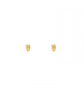 Pendientes  Pendientes Garra