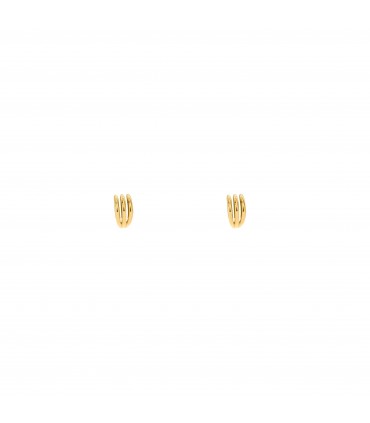 Pendientes  Pendientes Garra