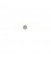 Pendiente Estrella 6 puntas Plata